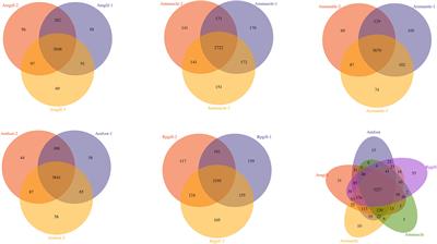 Comparative proteomic analysis of cold seep clam Archivesica marissinica and shallow water shellfish Ruditapes philippinarum provides insights into the adaptation mechanisms of deep-sea mollusks